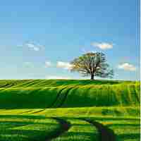 专‍业﻿生‌产​内‍容‍和‍职‍业﻿生‌产﻿内‍容‌的‌区​别﻿